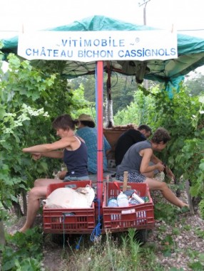 vitimobile château bichon cassignols vitimobile château bichon cassignols