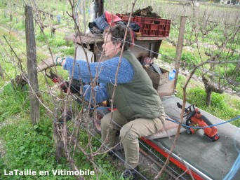 Edith taille la vigne en vitimobile Edith taille la vigne en vitimobile