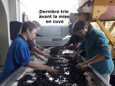 table de trie 2017 table de trie 2017